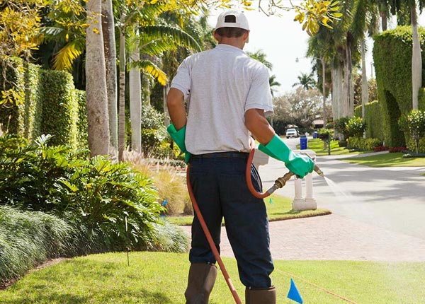 About Hixson TN Pest Control Pros